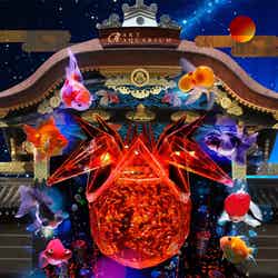 大政奉還150周年記念 アートアクアリウム城~京都・金魚の舞~(C)モデルプレス