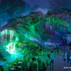 新テーマポート「ファンタジースプリングス」入口の左側（夜）（C）Disney