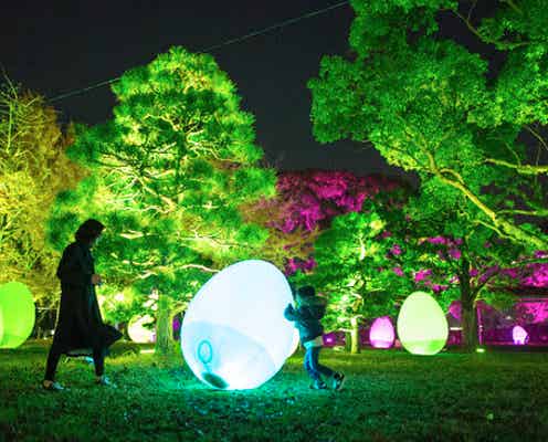 「ちばアート祭2021」チームラボの光のアート公開、外部の刺激で光や音が変化