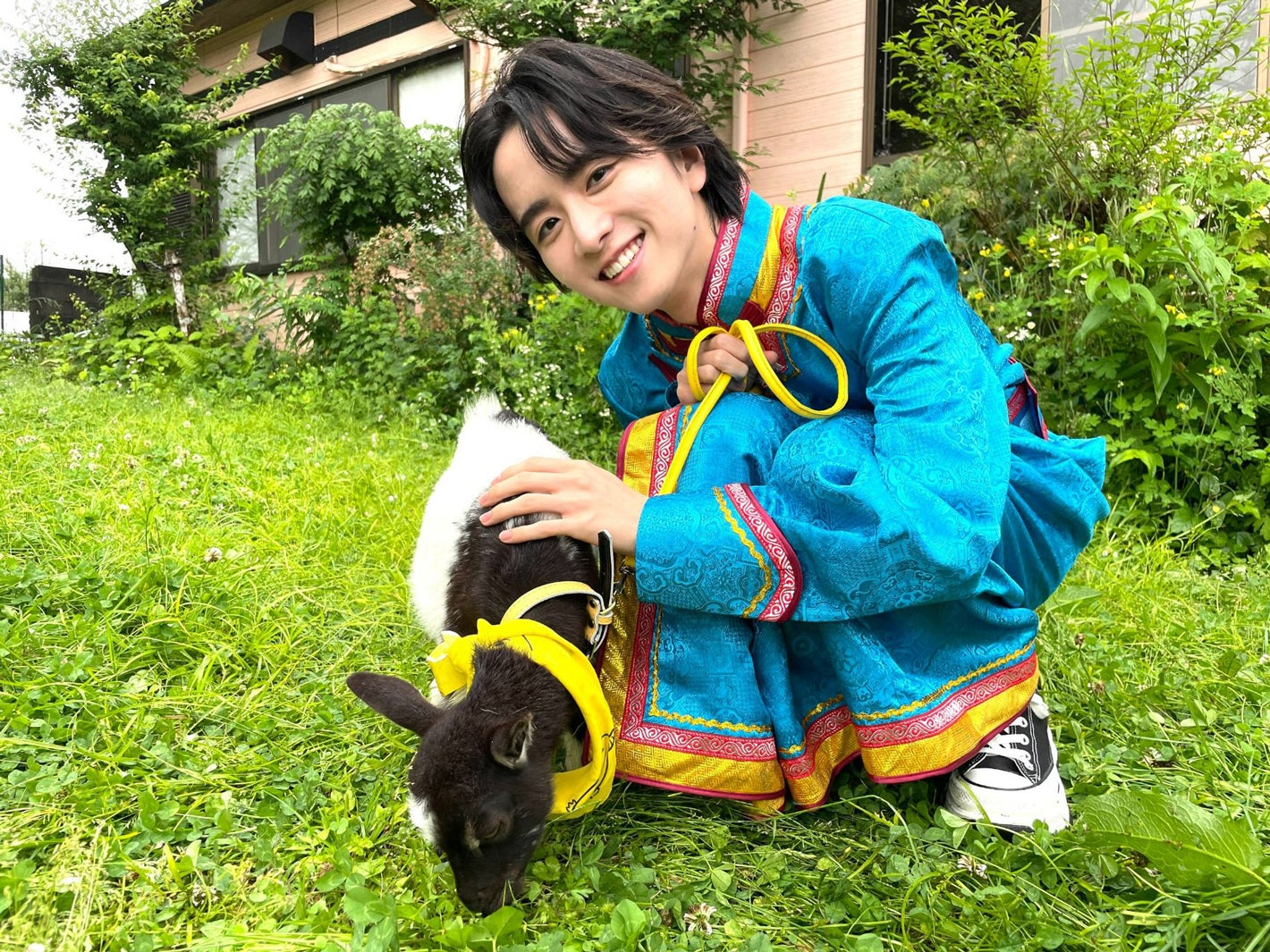 赤ちゃんヤギ、板垣李光人