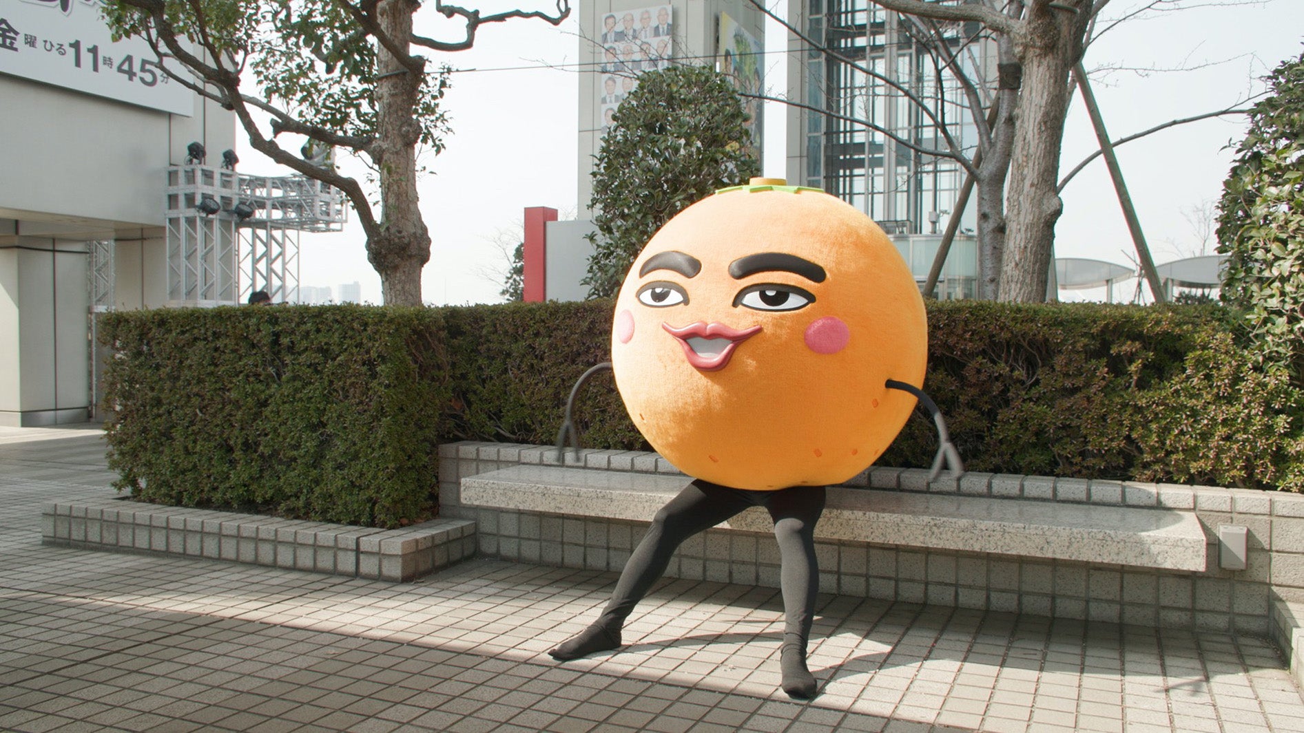 ミカンせいじん （C）フジテレビ