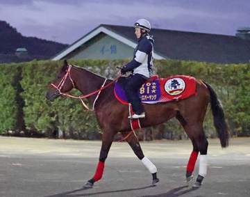 年度代表馬フォーエバーヤングは8日に函館入厩へ 矢作師「今の函館に入れるのは値打ちがある。暑さが敵な馬だから」 秋に米遠征予定