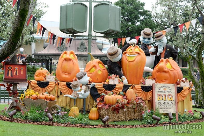 パンプキンの品評会のフォトロケーション（TDL）