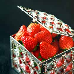 スーパーいちごビュッフェ2021~ホテルでいちご狩り #Strawberry Gallery~/画像提供:ニュー・オータニ