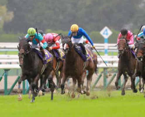 【南井克巳元調教師 豪腕の視点】エネルジコで菊花賞史上初の3連覇達成 自分が思い描いていたレースができたルメール