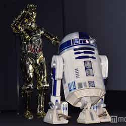 C-3PO、R2-D2（C）モデルプレス