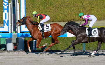 【新馬戦】アメリカンコール 完勝デビュー C・デムーロも満足「直線も一回かわされたなかで差し返してくれた」