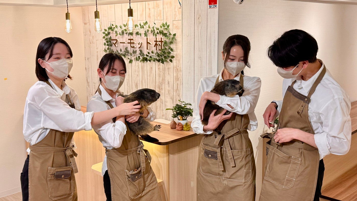 マーモット村／提供画像