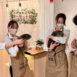 マーモット村/提供画像