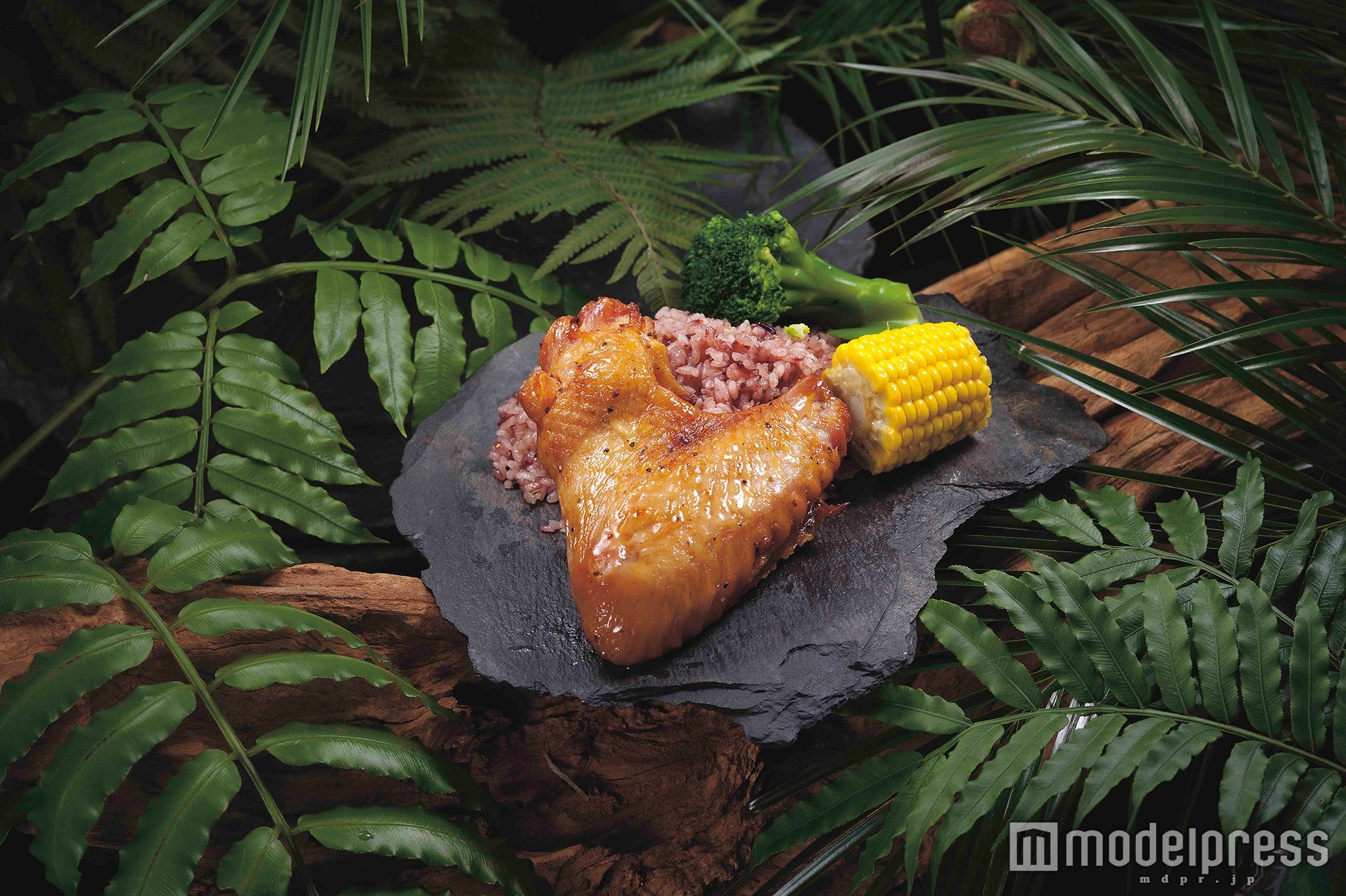 プテラノドンの翼プレート／画像提供：ユニバーサル・スタジオ・ジャパン