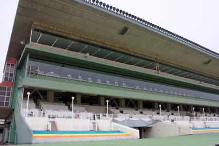 「大井競馬場」