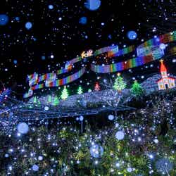 光の花の庭~Flower Fantasy~/画像提供:足利フラワーリゾート