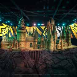 ホグワーツ ハウスプライド(提供写真)