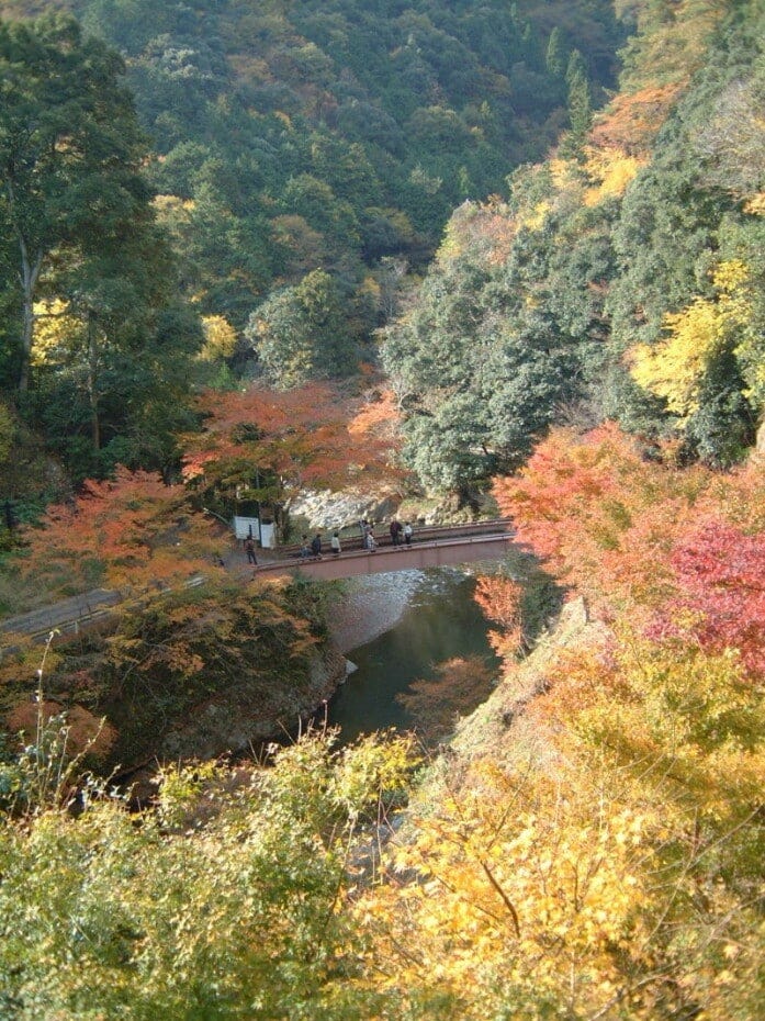 西明寺の裏参道から紅葉に包まれた灌頂橋と清滝川を見下ろす（2004年11月21日撮影）