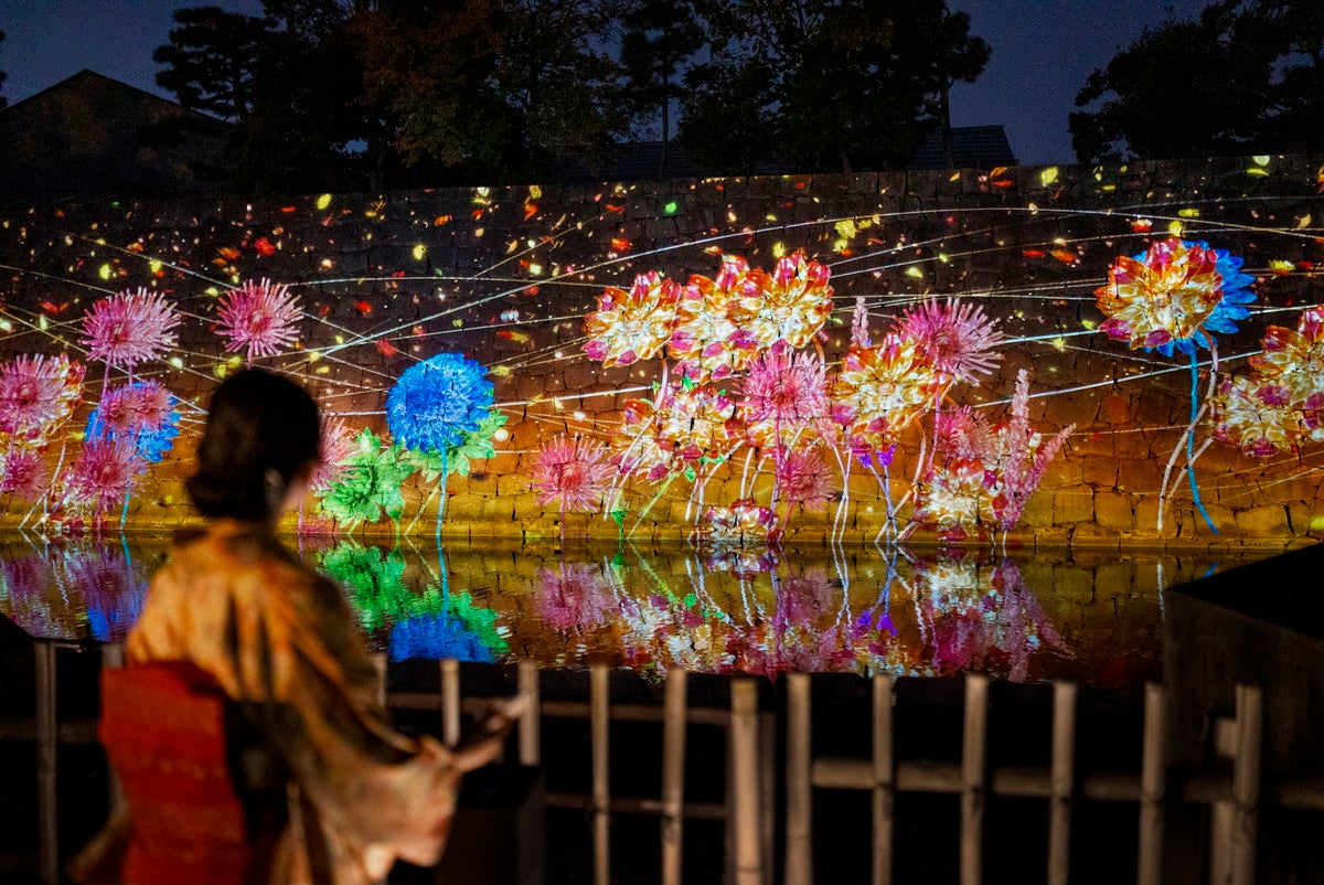 NAKED FLOWERS 2022 秋 世界遺産・二条城／画像提供：ネイキッド