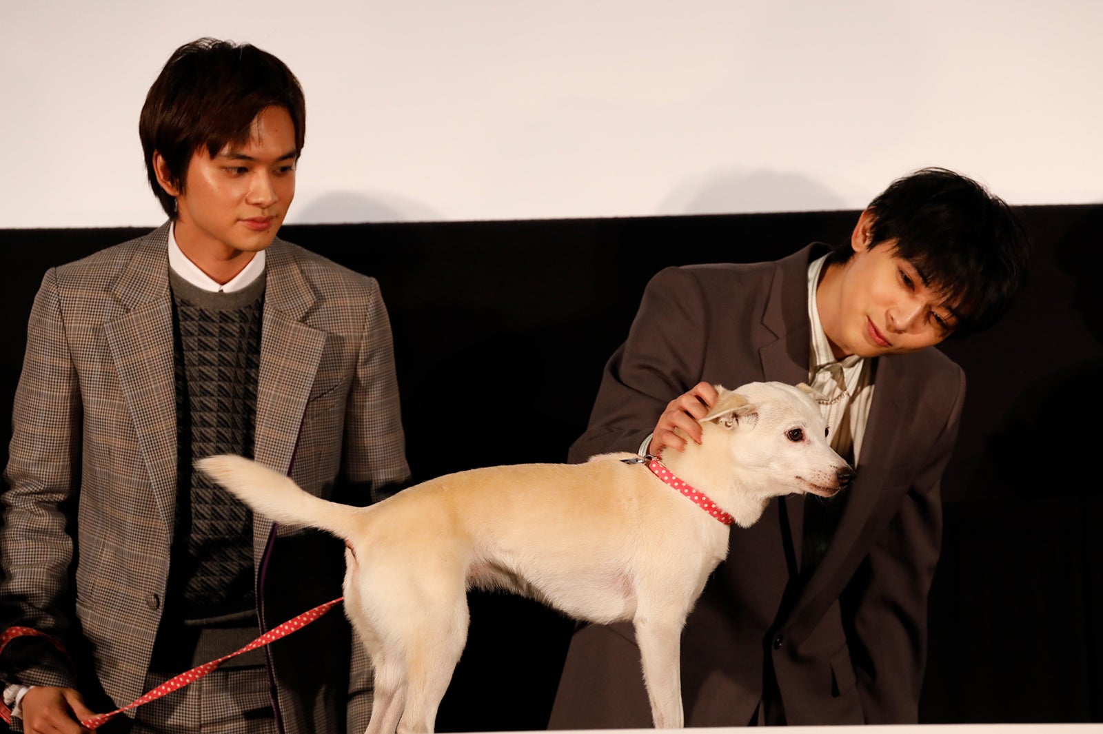 吉沢亮、感嘆の共演シーン振り返る 北村匠海「僕なんかカーストが低いほうで…」＜さくら＞