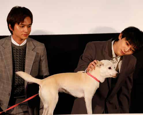 吉沢亮、感嘆の共演シーン振り返る 北村匠海「僕なんかカーストが低いほうで…」<さくら>