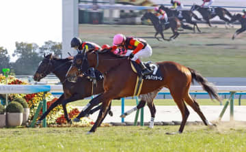 河津桜賞を制したソルパッサーレはチューリップ賞へ