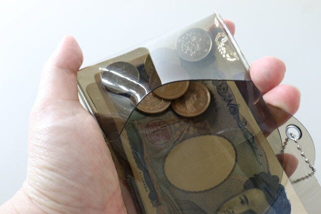 ダイソー　PVCコインケース付3つ折財布　使用例　小銭