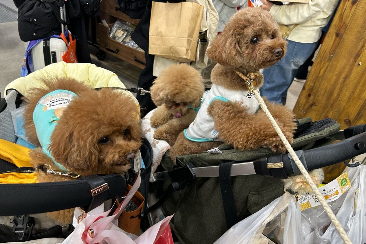 インターペット東京