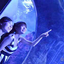 ロマンティックな深海の世界を体験「ナイトアクアリウム」／モデル：小林さり、岡田紗佳