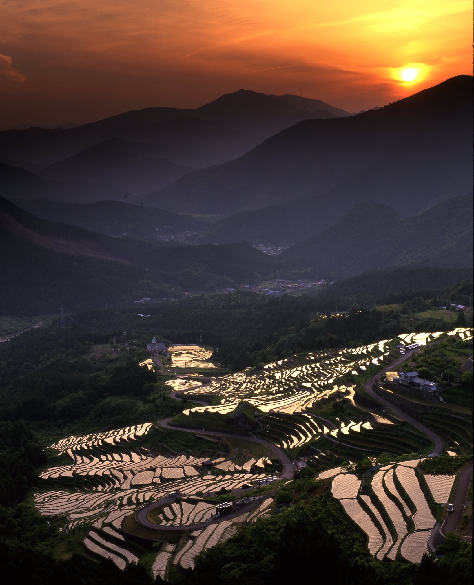 夕焼けに染まる『丸山千枚田』／提供画像