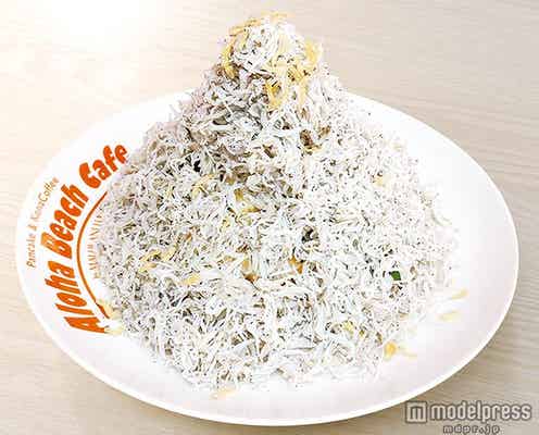 江ノ島発しらすパンケーキが“メガ盛り”サイズに