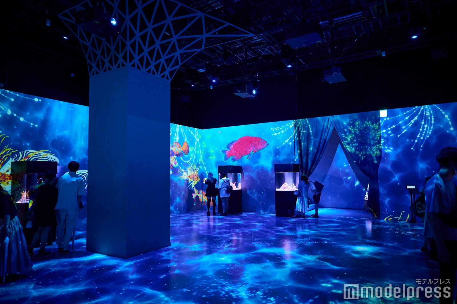 約350種2万点もの生きものと出会える（C）モデルプレス