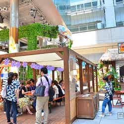 「トロピカルビアガーデン&カフェ」