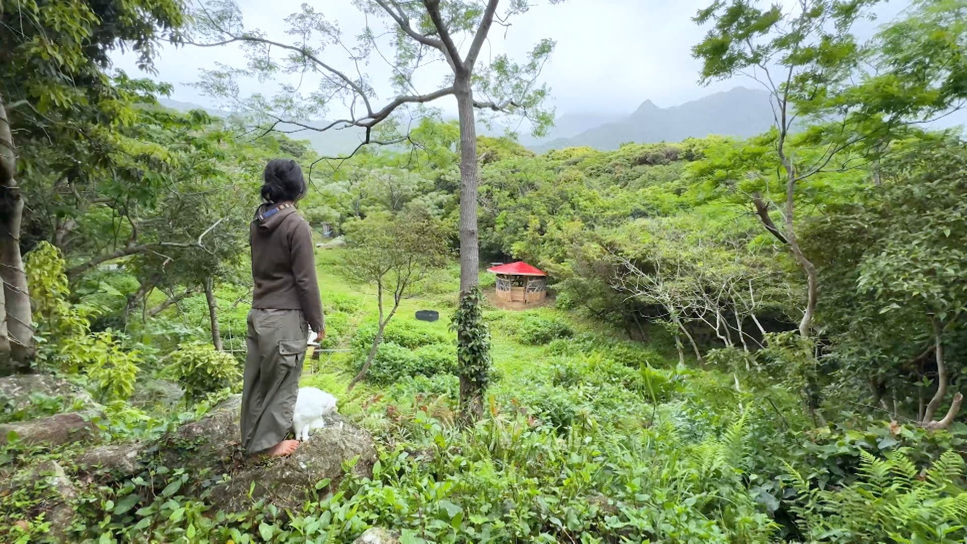 「1泊家族」より（C）テレビ朝日