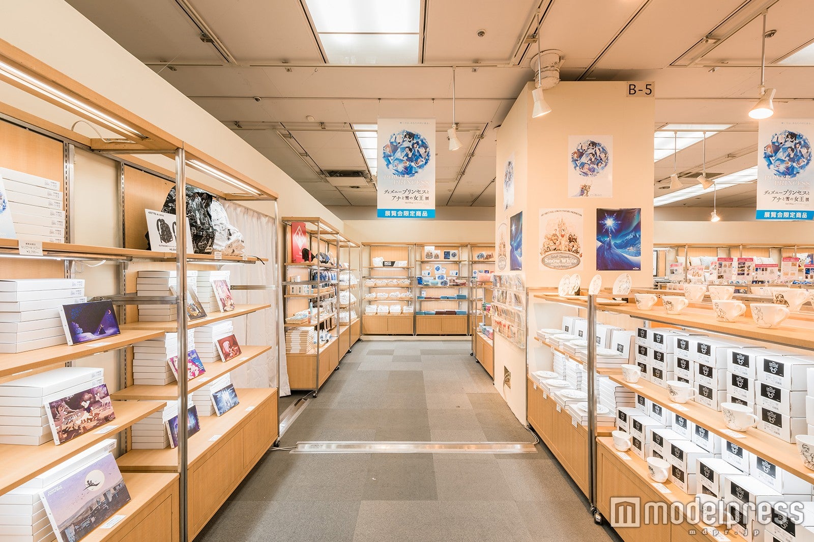 POWER OF PRINCESS「ディズニープリンセスとアナと雪の女王展」より（C）Disney