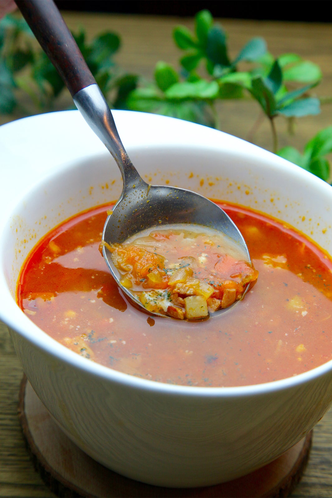 根菜とハーブたっぷりトマトのミネストローネ／画像提供：Soup＋