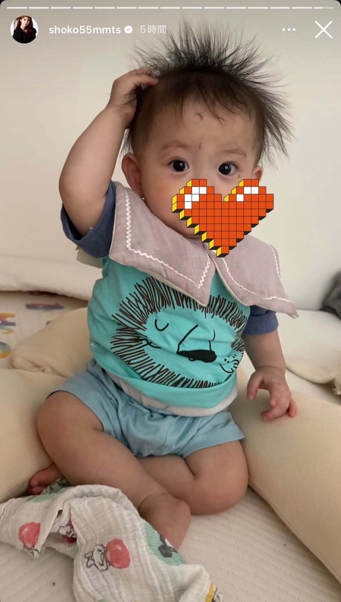 中川翔子Instagramストーリーズより