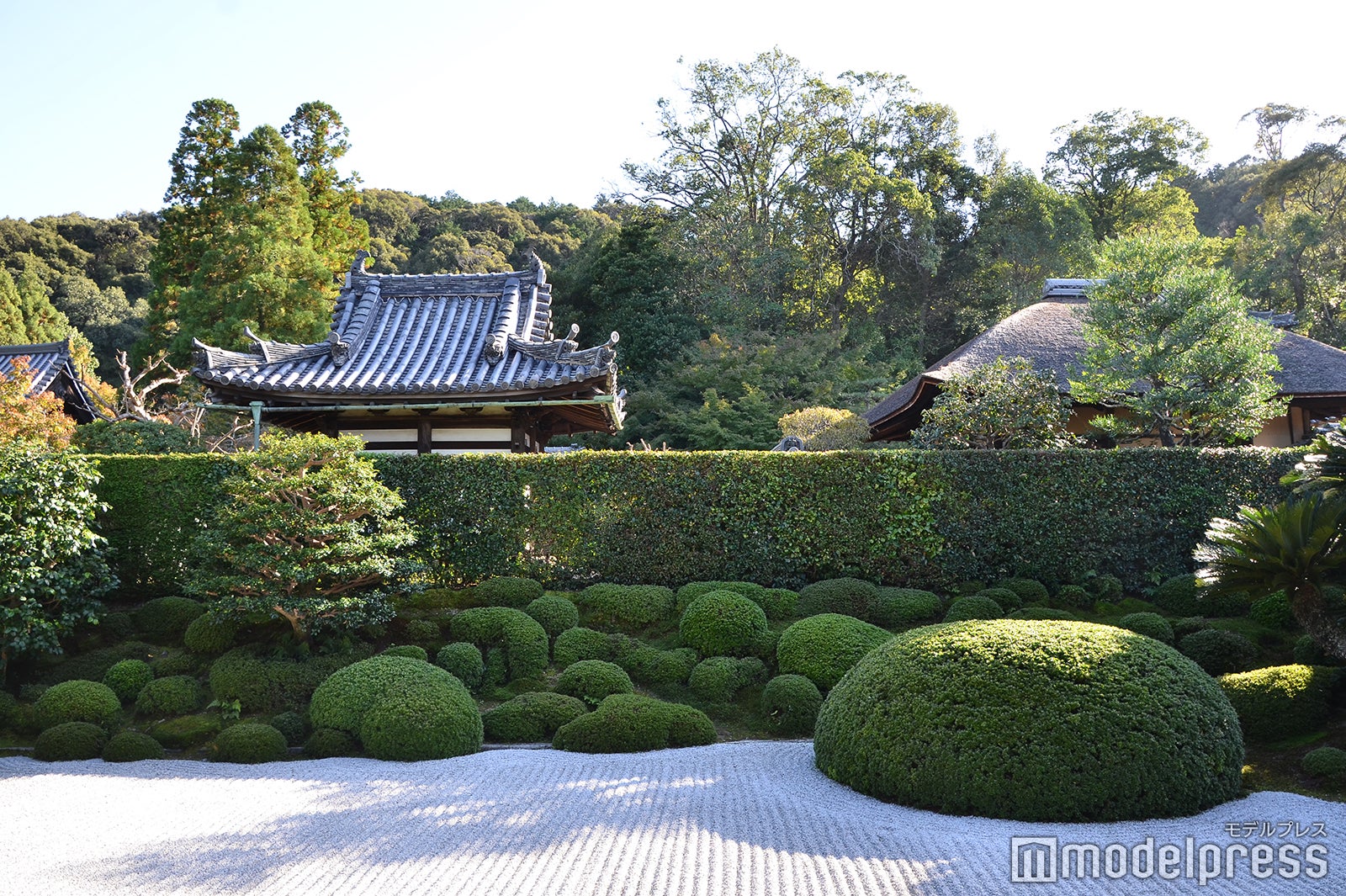 酬恩庵一休寺（C）モデルプレス