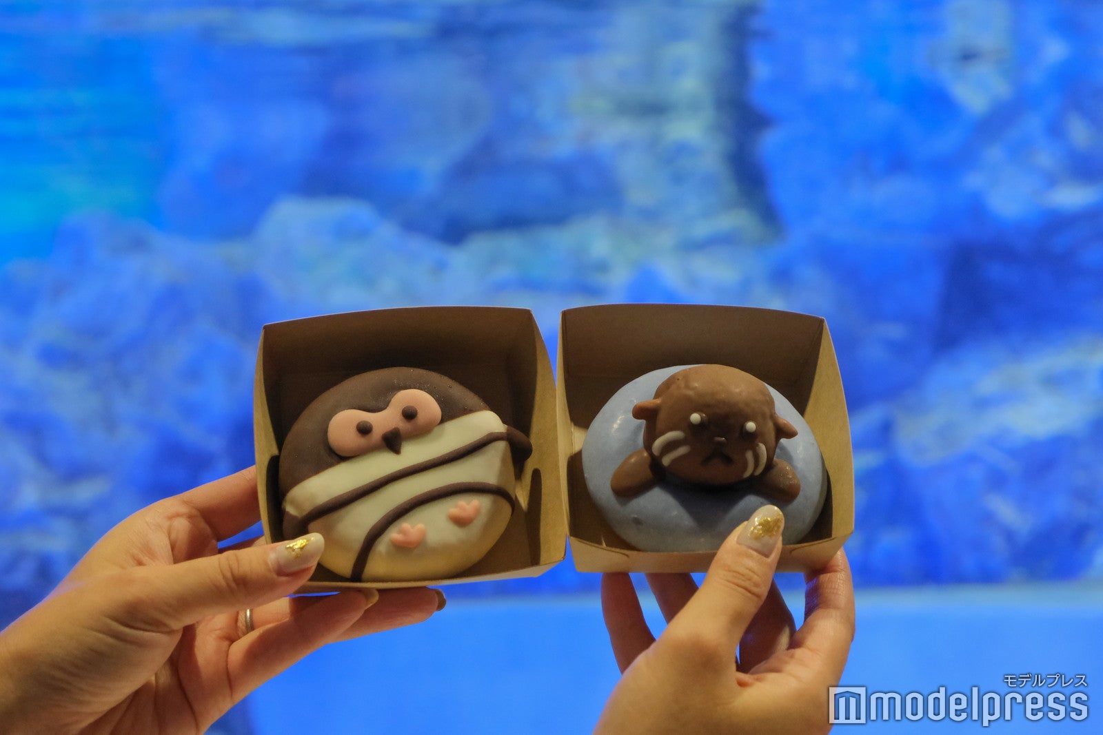 すみだすいすいドーナツ各580円（C）モデルプレス