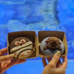 すみだすいすいドーナツ各580円(C)モデルプレス