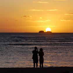 LOTUS NIGHT/画像提供:ブッキングリゾート