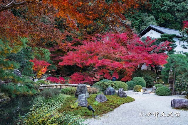 【京都】絶景…♡