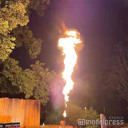 ミューの森(C)モデルプレス