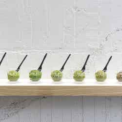 “焙煎温度が選べる”世界初のお茶ジェラート専門店が静岡にオープン／画像提供：LUCY ALTER DESIGN