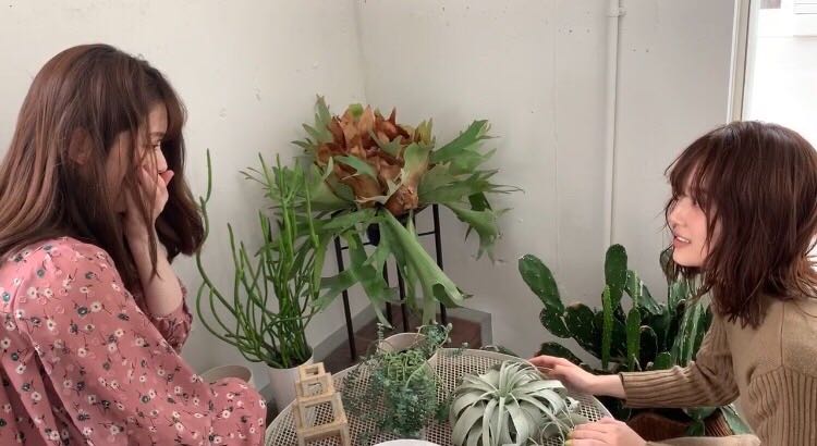 ショートコント“サボテン姉妹”松村沙友理、山下美月（提供写真）