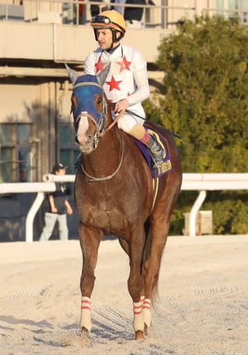 【地方競馬】単勝1.4倍のミッキーファイトはまさかの2着 ルメール「勝った馬が強すぎた」