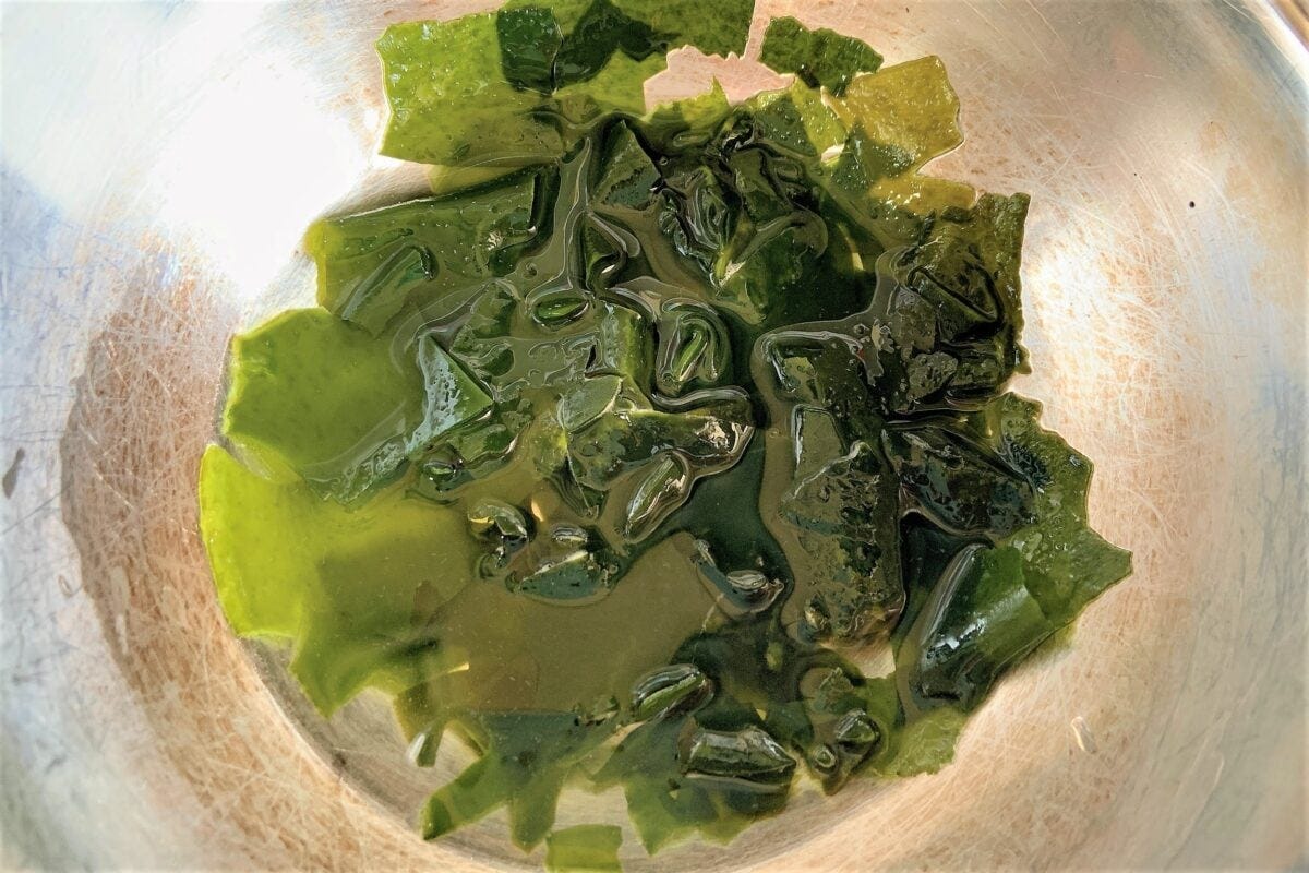 わかめおにぎり