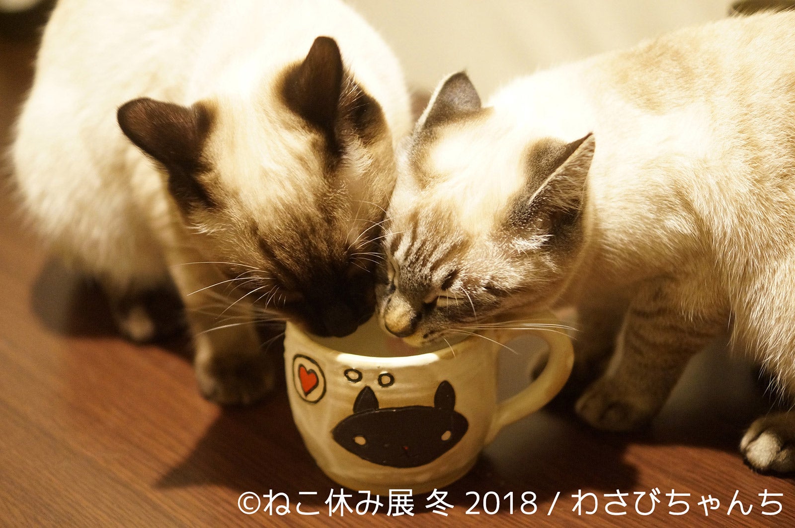 展示作品／画像提供：株式会社BACON