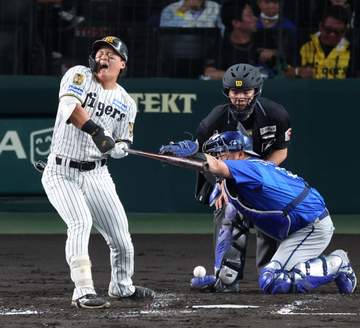 甲子園が騒然 阪神・前川が死球で負傷交代 佐藤輝、森下のコンディション不良に続き“泣きっ面に蜂”