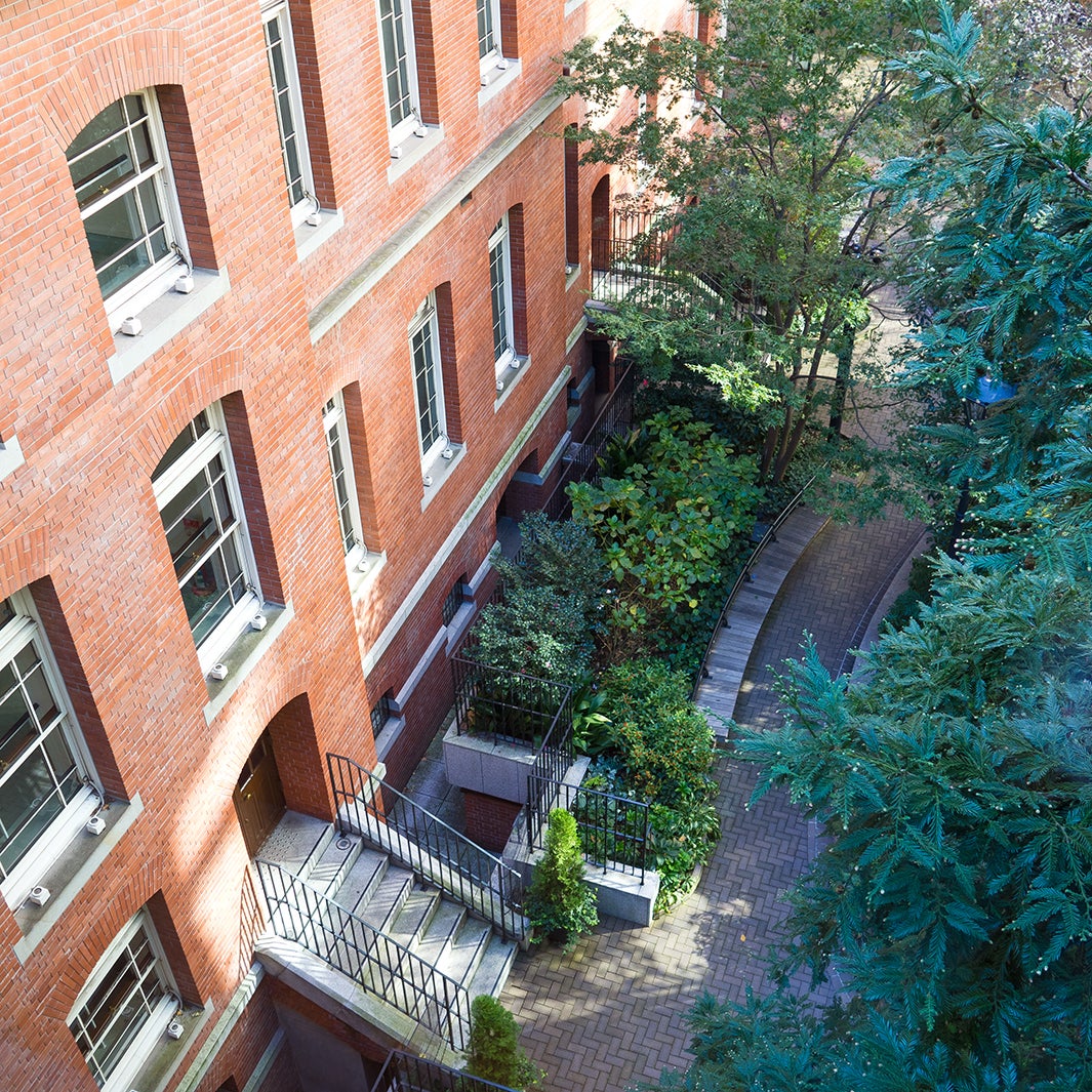 ／画像提供：三菱一号館美術館