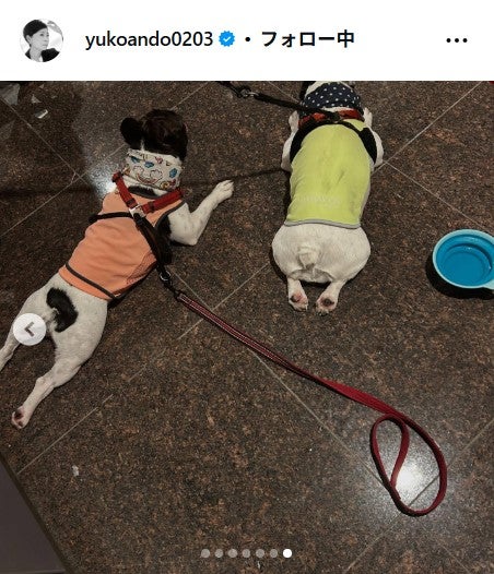 安藤優子Instagramより