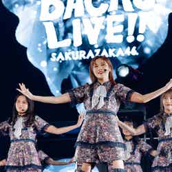 櫻坂46「8th Single BACKS LIVE！！」（C）上山陽介