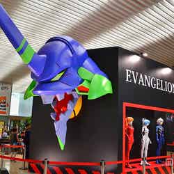 「エヴァショップ」