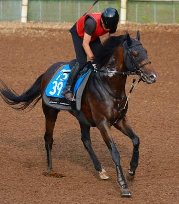 【小倉＆福島の危険な人気馬】ネブラディスク 小倉11R・博多S